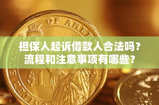 武汉担保人起诉借款人合法吗？流程和注意事项有哪些？