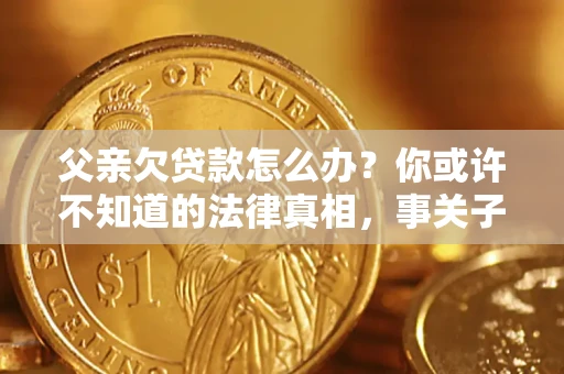 武汉父亲欠贷款怎么办？你或许不知道的法律真相，事关子女未来