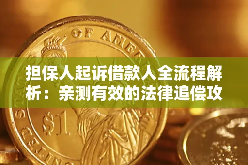 武汉担保人起诉借款人全流程解析：亲测有效的法律追偿攻略