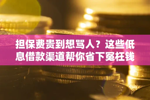 武汉担保费贵到想骂人？这些低息借款渠道帮你省下冤枉钱