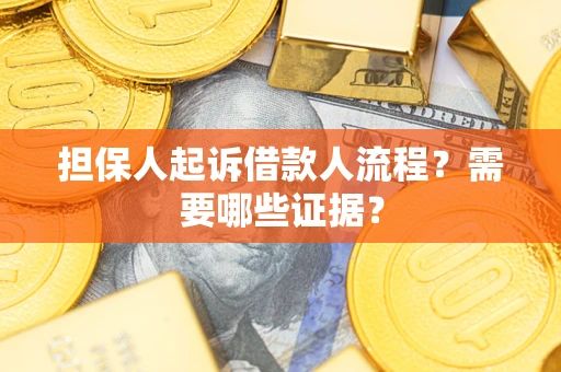 武汉担保人起诉借款人流程？需要哪些证据？