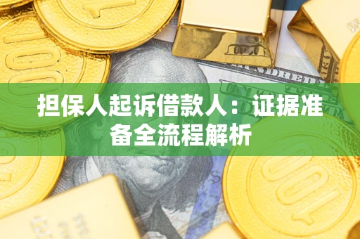 武汉担保人起诉借款人：证据准备全流程解析