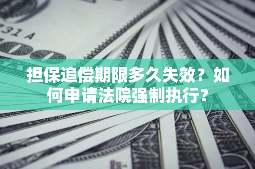 武汉担保追偿期限多久失效？如何申请法院强制执行？