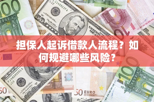 武汉担保人起诉借款人流程？如何规避哪些风险？