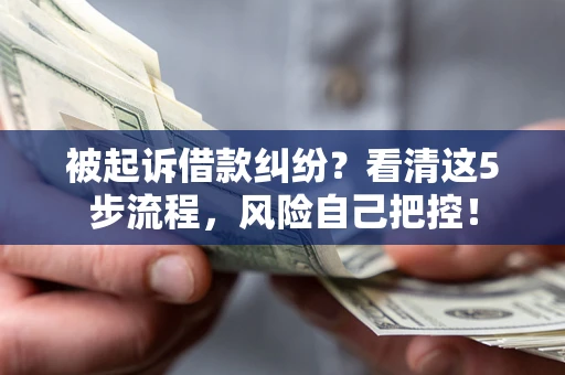 武汉被起诉借款纠纷？看清这5步流程，风险自己把控！