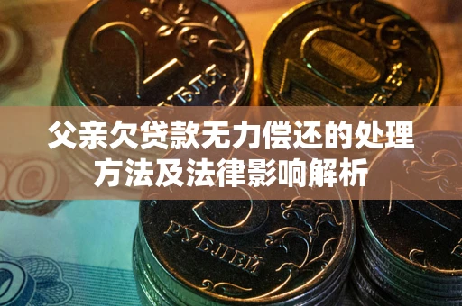 武汉父亲欠贷款无力偿还的处理方法及法律影响解析