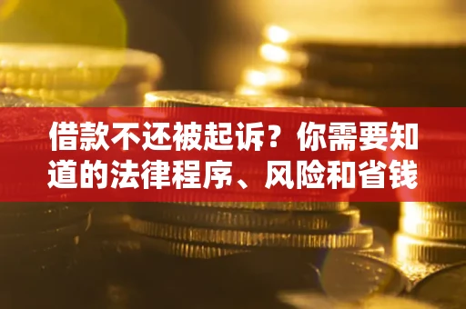武汉借款不还被起诉？你需要知道的法律程序、风险和省钱技巧