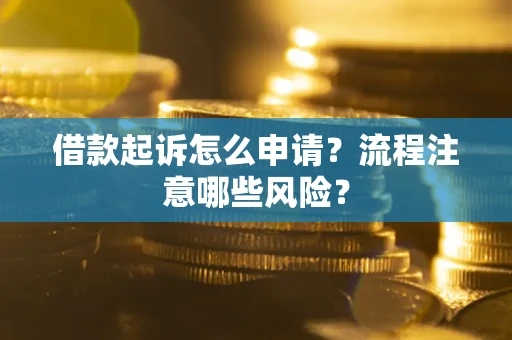 武汉借款起诉怎么申请？流程注意哪些风险？